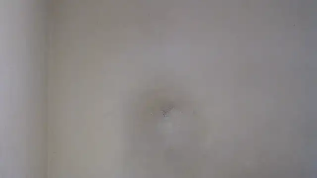 AlexNudo online show from 02-26-25, 12:05