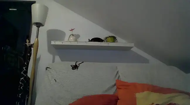 Cambitchboy online show from 02-14-25, 05:09