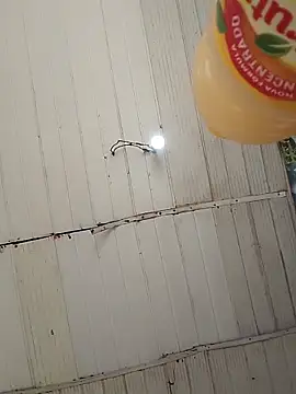 Kanekki2 online show from 03-27-26, 12:50