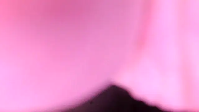 sr4343 online show from 02-17-26, 10:18