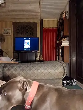 dutra498 online show from 03-25-26, 04:45