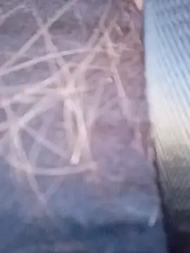 piiruwx online show from 03-04-26, 09:22