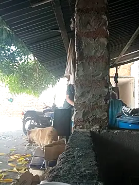 PrivCamZone online show from 10-12-25, 05:25