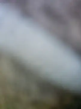 Snapshot of fuckineverett chatting on 03-15-25, 03:48 fuckineverett online show from 03-15-25, 03:48