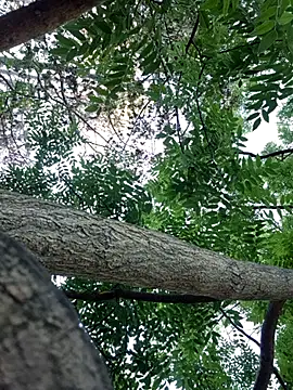 Snapshot of Keli_Jessi chatting on 09-14-25, 01:22 Keli Jessi online show from 09-14-25, 01:22