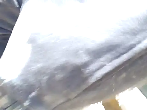 Diablo9804 online show from 03-10-26, 06:45