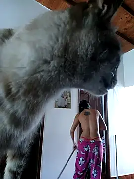 LunaZambrano online show from 12-14-25, 03:06