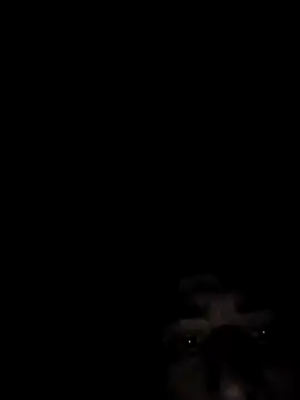 SpeedMagnumBlade6669 online show from 02-14-26, 07:19