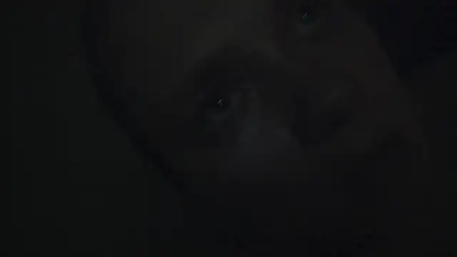 FrumCake online show from 01-15-25, 12:41