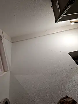 Percy ohv online show from 11-01-25, 09:08