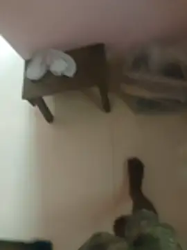 anjaanarun online show from 11-10-25, 03:11