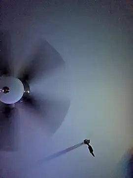 22sexytwin online show from 04-10-26, 05:36