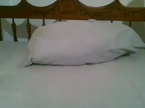 Snapshot of bbccol1 chatting on 03-17-25, 09:35 bbccol1 online show from 03-17-25, 09:35