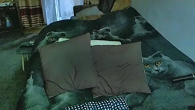 sex2 online show from 10-28-25, 04:13