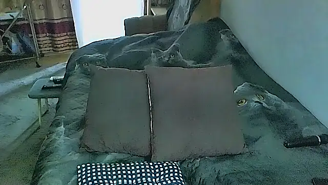 sex2 online show from 11-04-25, 02:26