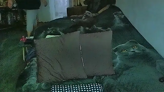 sex2 online show from 04-09-26, 12:45