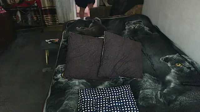 sex2 online show from 05-29-26, 11:55