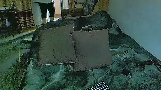 sex2 online show from 11-17-25, 07:34