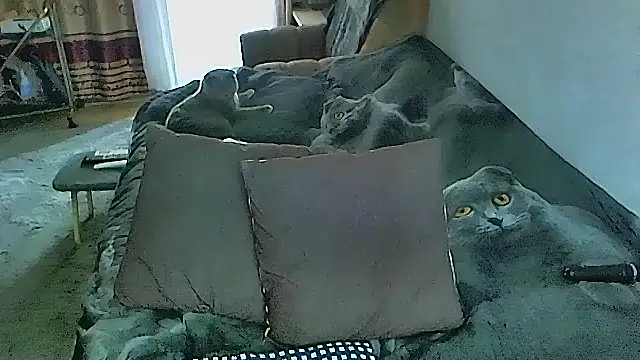 sex2 online show from 10-16-25, 02:31