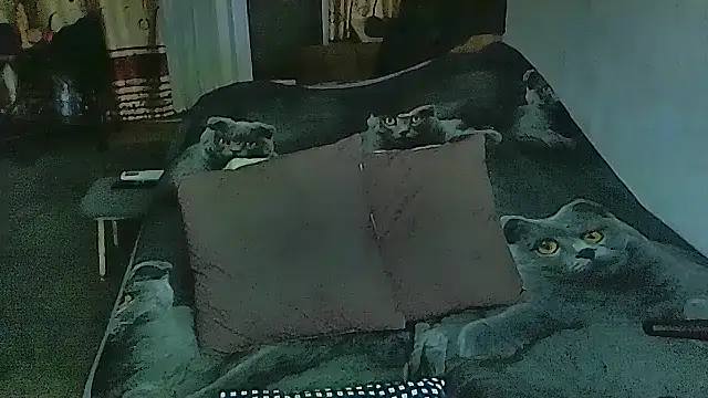 Snapshot of sex2 chatting on 02-11-26, 11:15 sex2 online show from 02-11-26, 11:15