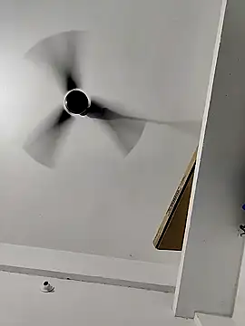 vishnuvinod india online show from 11-14-25, 06:22