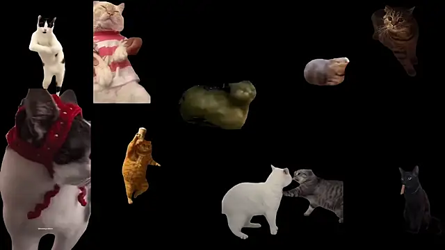 aberaaruba online show from 11-05-25, 11:57