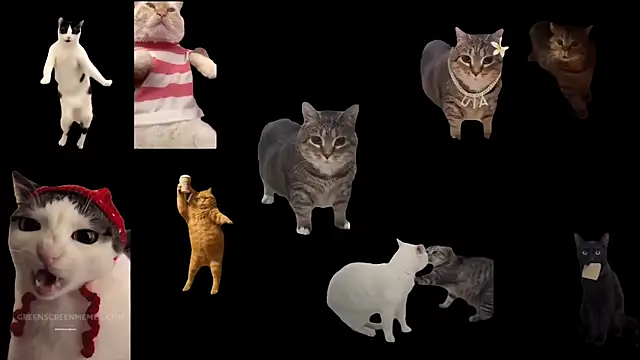 aberaaruba online show from 11-10-25, 10:09