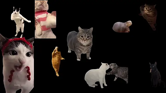 aberaaruba online show from 10-29-25, 09:41