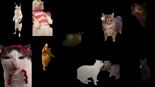 aberaaruba online show from 11-06-25, 02:43