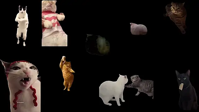 aberaaruba online show from 10-23-25, 09:41