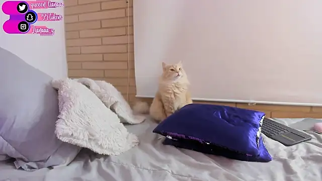 Snapshot of Queen_liana chatting on 01-10-25, 08:29 Queen liana online show from 01-10-25, 08:29