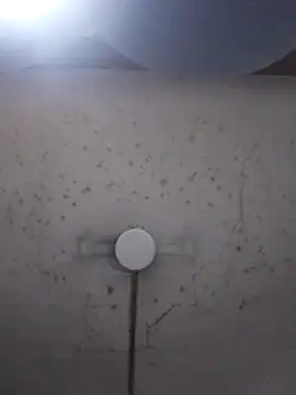 marie12345679 online show from 02-26-26, 01:16