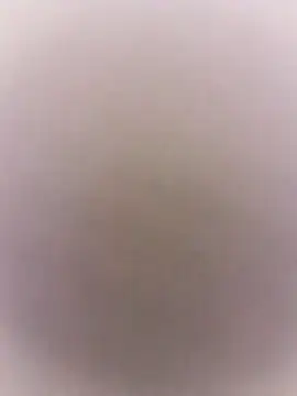 marie12345679 online show from 03-07-26, 08:58