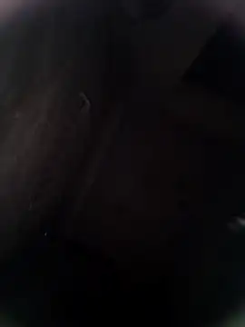 Pitercom online show from 02-08-26, 12:52