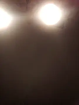 lilianashemale online show from 11-01-25, 03:13