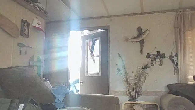 Yankeedave420 online show from 11-19-25, 06:08