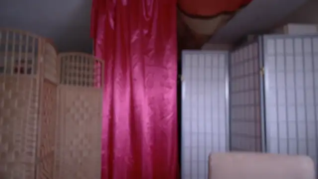 petradaniels online show from 10-23-25, 09:46