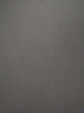 Baumhackel online show from 02-08-26, 11:52