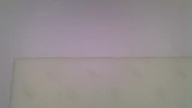 EvaaMina online show from 11-18-25, 10:29