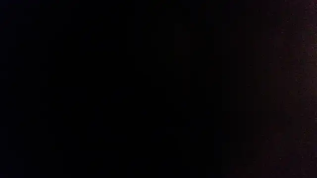 palidin1 online show from 12-05-25, 06:23