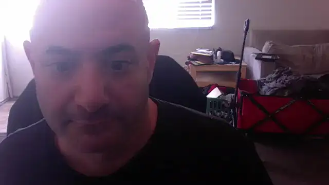 palidin1 online show from 11-24-25, 09:37