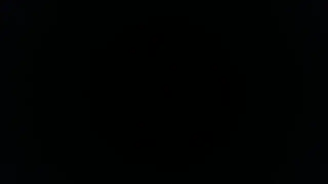 palidin1 online show from 11-26-25, 01:16