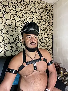 the master foal  online show from 03-31-26, 08:49