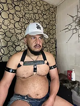 the master foal  online show from 03-11-26, 07:19