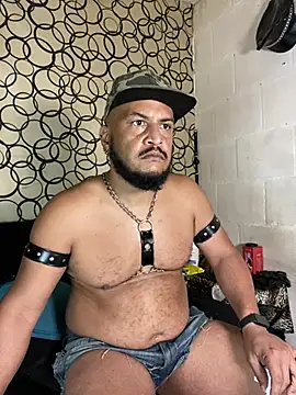 the master foal  online show from 04-11-26, 07:16