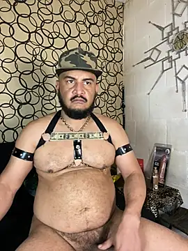 the master foal  online show from 03-17-26, 11:41