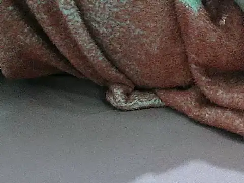 FUN4TIPS online show from 03-02-25, 05:09