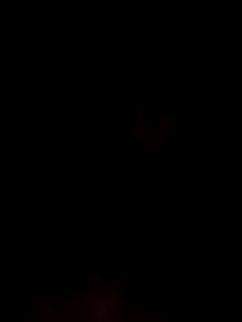 kingdennis6666 online show from 11-11-25, 03:34