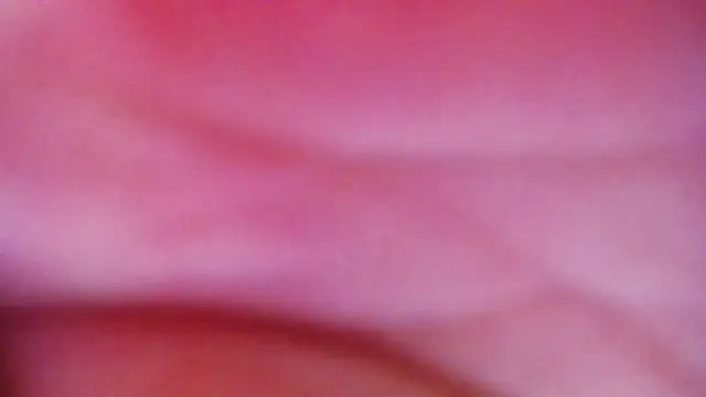 JessikaDaniel online show from 04-16-26, 06:36