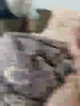 Snapshot of Yaramaz331 chatting on 03-11-25, 10:29 Yaramaz331 online show from 03-11-25, 10:29